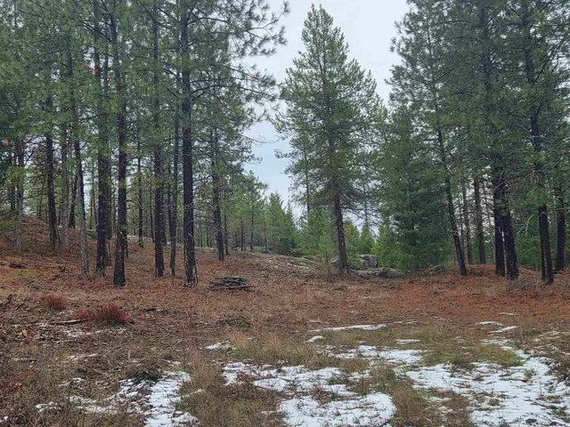 $95,000 | 260 Slate Road, Newport, WA 99156