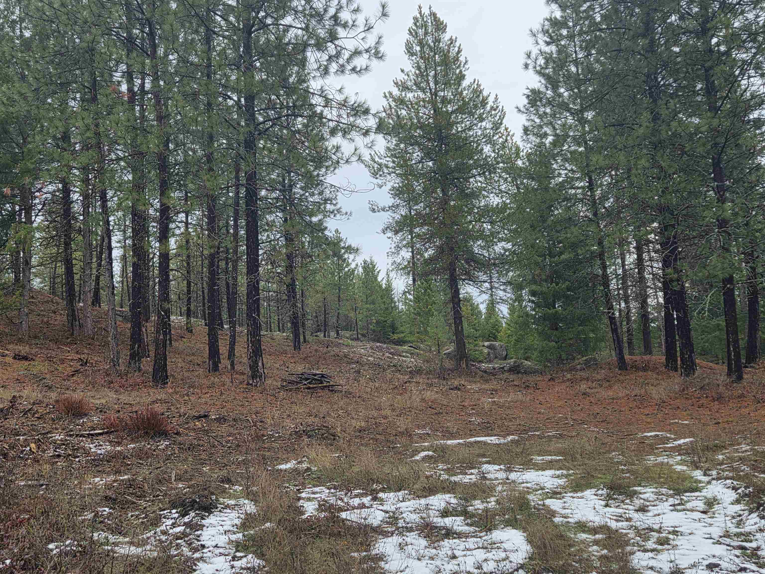 260 Slate Road Newport, WA 99156 - Photo 5 of 24