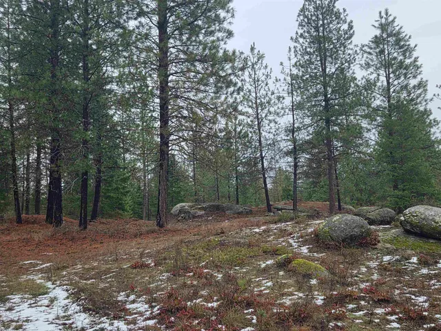 $95,000 | 260 Slate Road, Newport, WA 99156