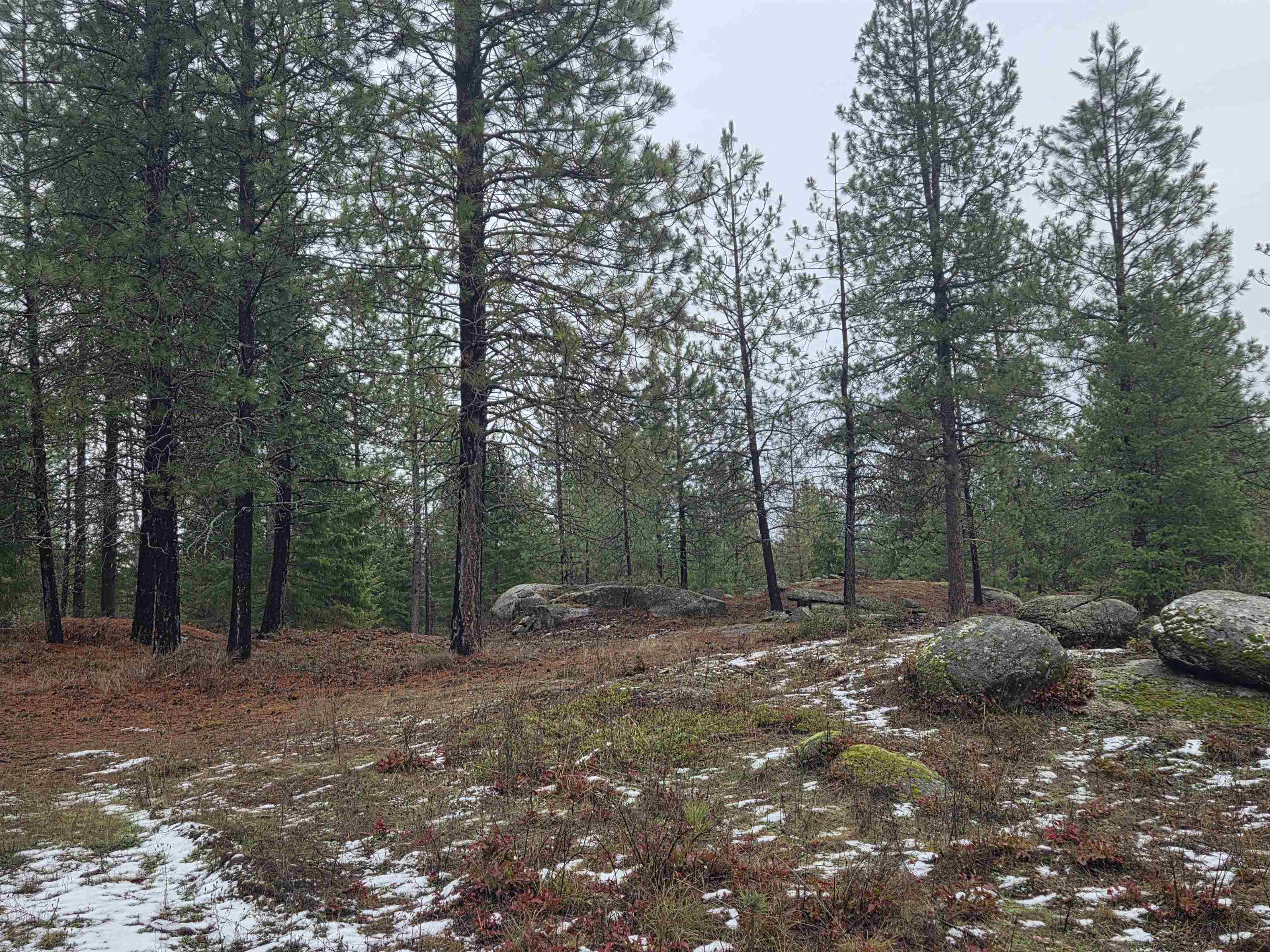 260 Slate Road Newport, WA 99156 - Photo 6 of 24