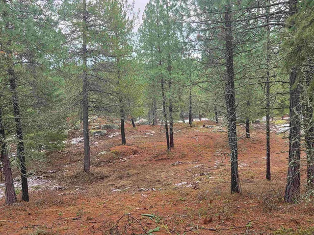 $95,000 | 260 Slate Road, Newport, WA 99156