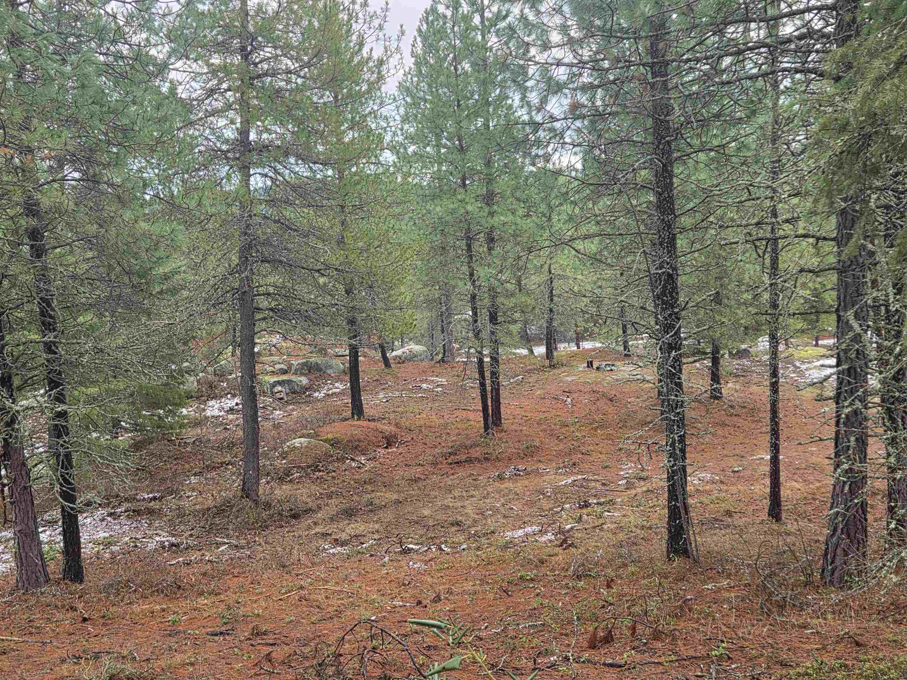 260 Slate Road Newport, WA 99156 - Photo 7 of 24