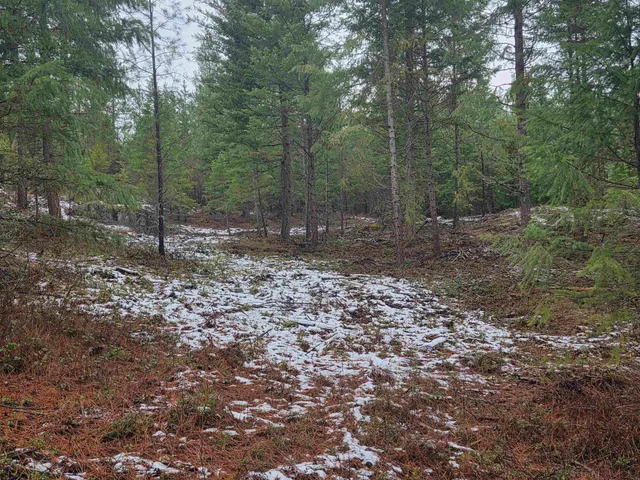 $95,000 | 260 Slate Road, Newport, WA 99156