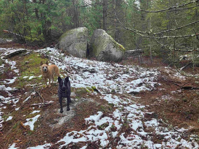 $95,000 | 260 Slate Road, Newport, WA 99156