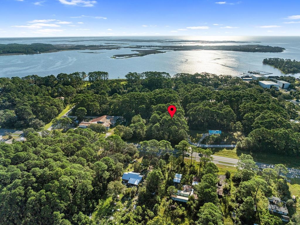 X Palmdale Street Panacea, FL 32346 - Photo 3 of 10