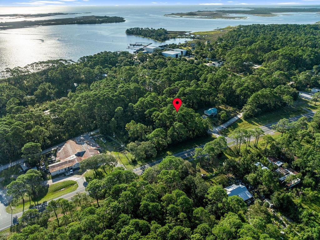 X Palmdale Street Panacea, FL 32346 - Photo 4 of 10