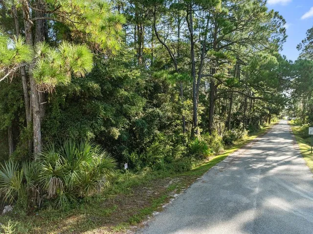 $40,000 | X Palmdale Street, Panacea, FL 32346