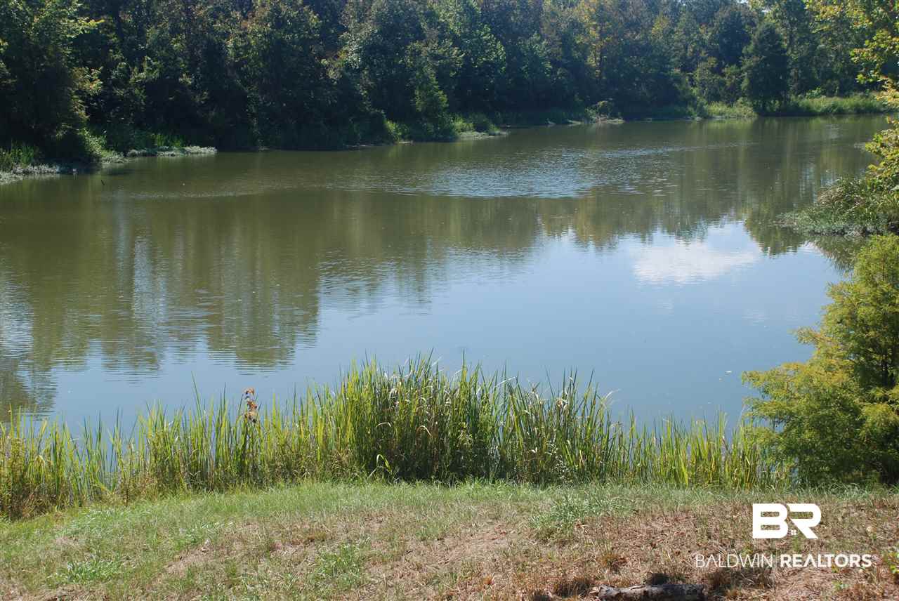 21 Jimmie Phillips Road Sawyerville, AL 36776 - Photo 2 of 41