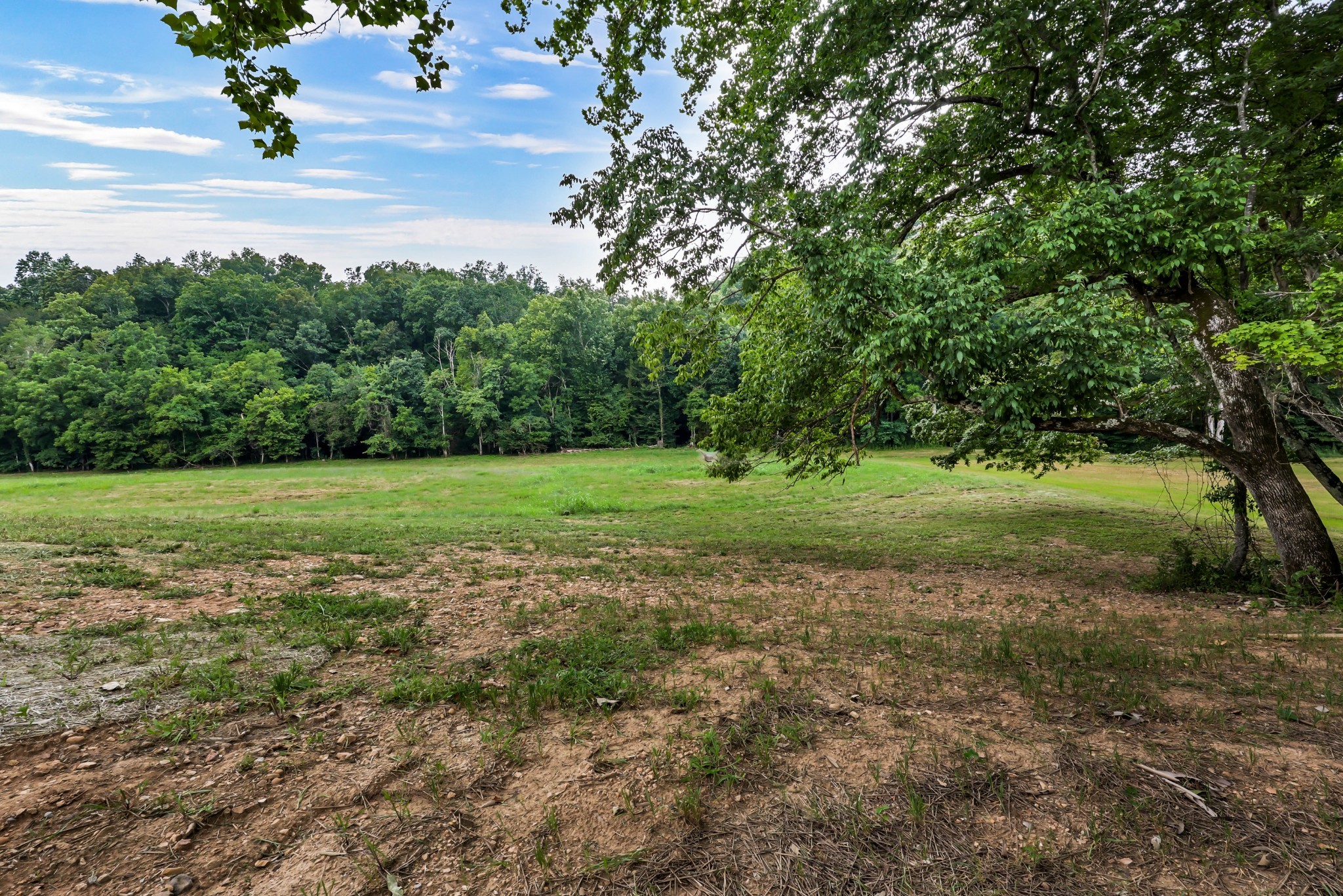 5570 Chambers Road Cumberland Furnace, TN 37051 - Photo 45 of 55 a view of a garden with a tree