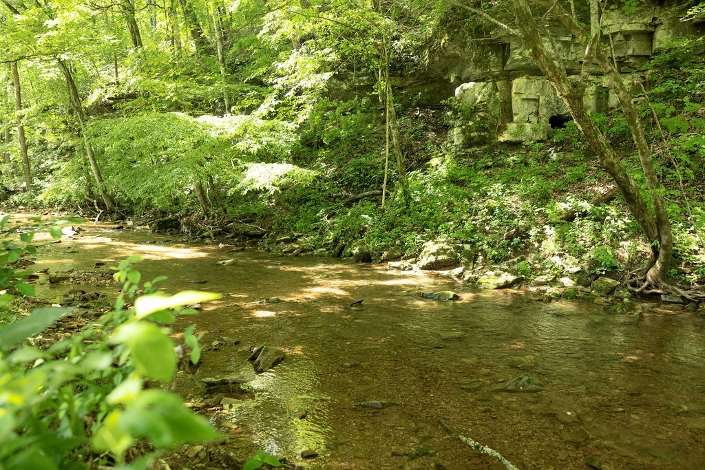 5570 Chambers Road Cumberland Furnace, TN 37051 - Photo 53 of 55 a view of outdoor space with a lake view