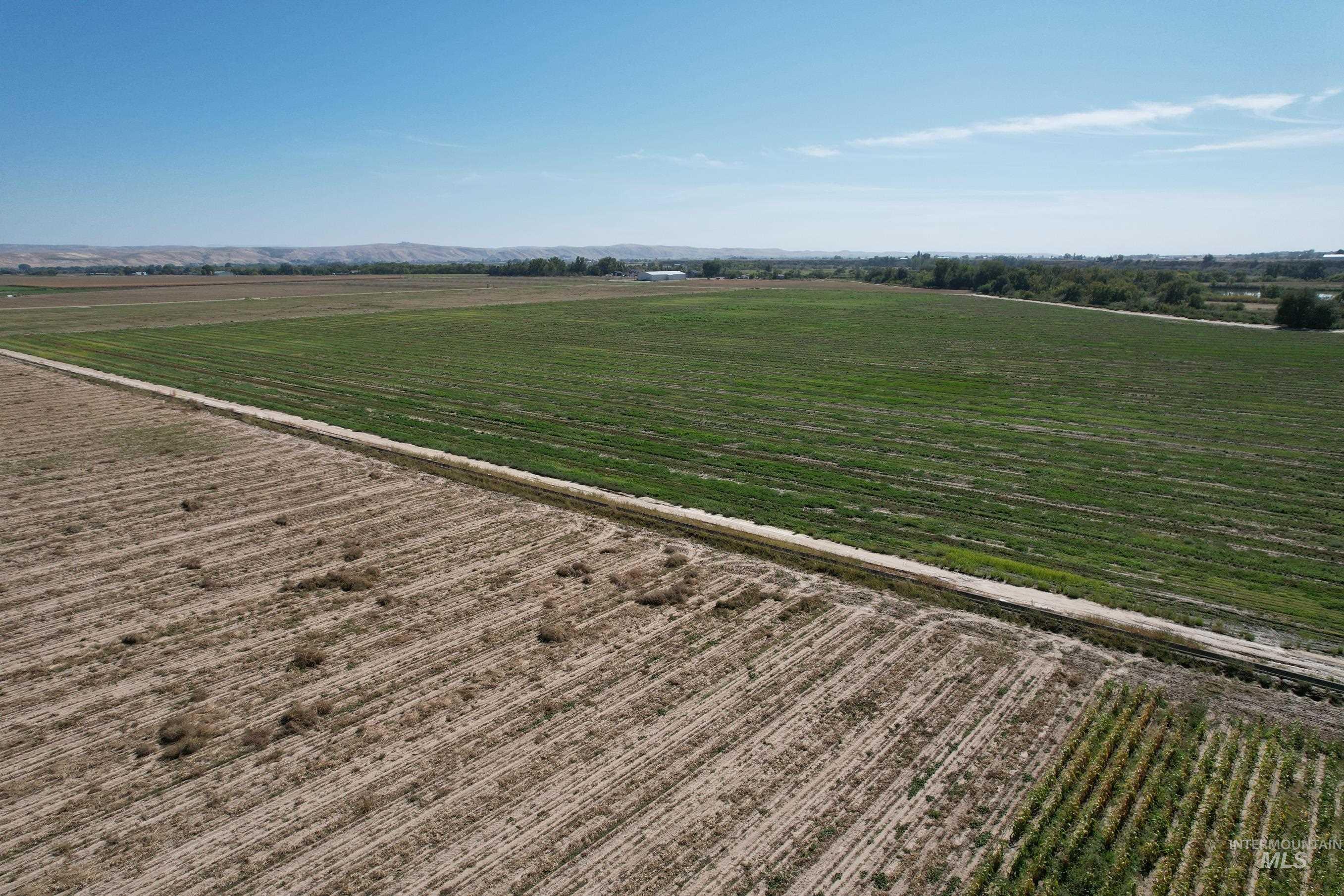 Tbd Hansen Road Weiser, ID 83672 - Photo 1 of 1 View of rural area featuring rows of crops