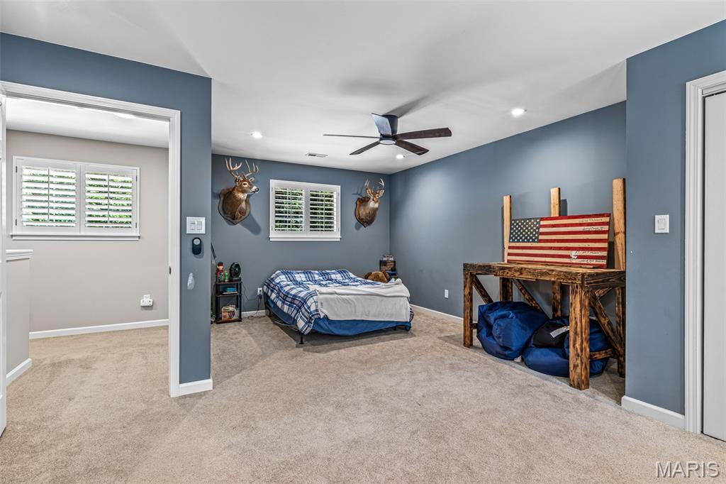 4777 Ems Road Hillsboro, MO 63050 - Photo 43 of 58