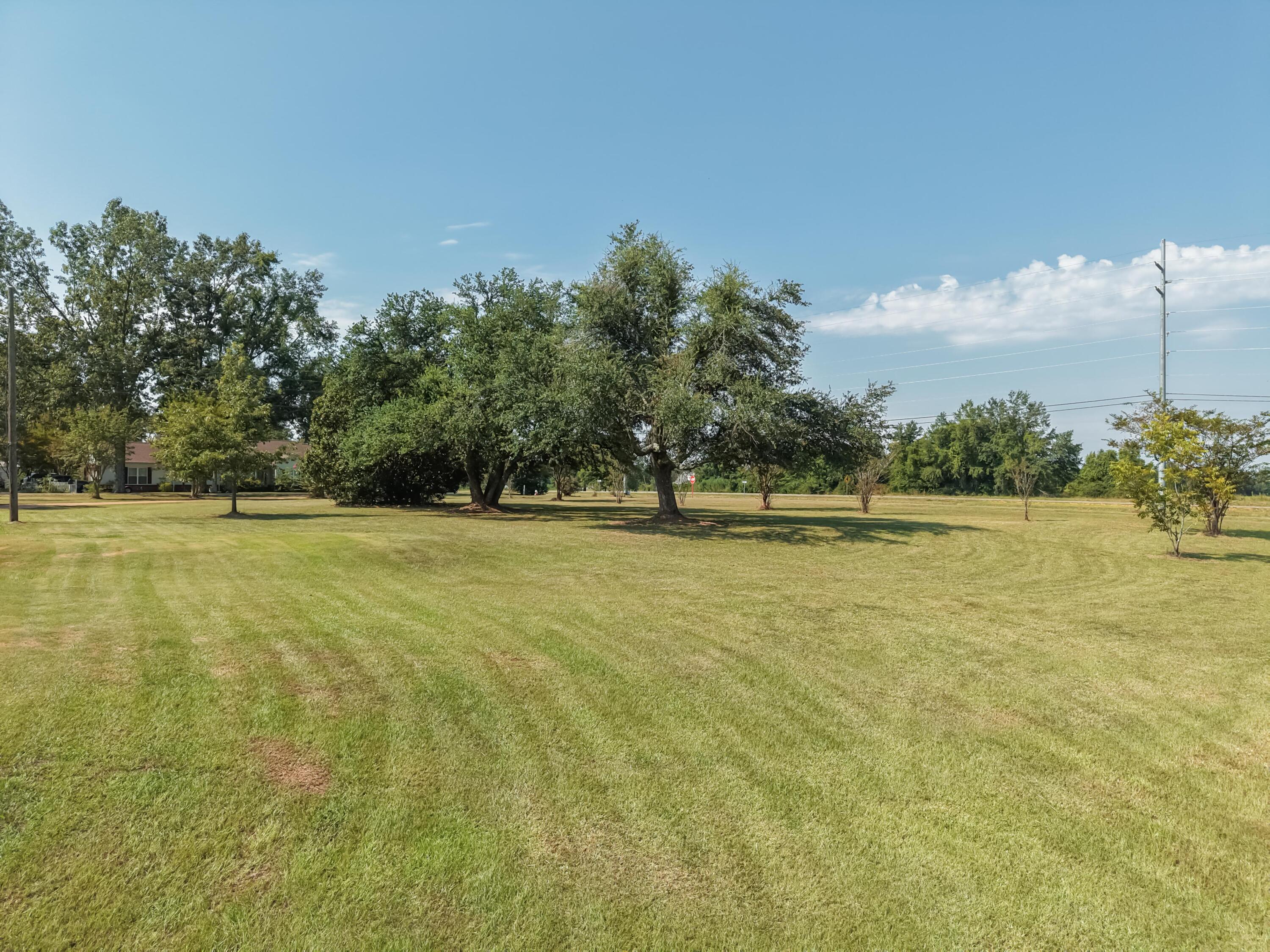 1003 Oaks Country Club Road New Albany, MS 38652 - Photo 14 of 50 Gallery Image 14