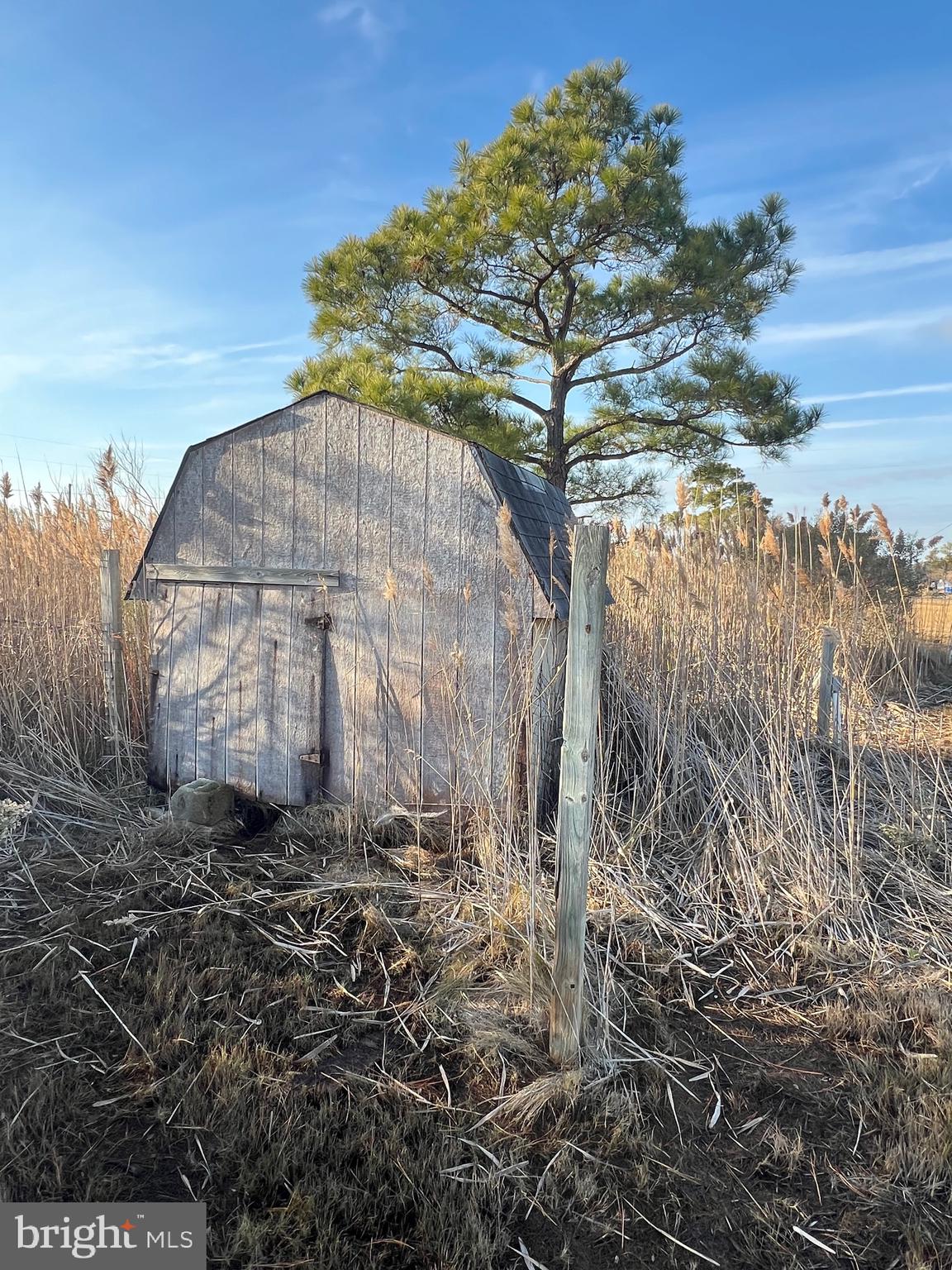 2736 Toddville Road Toddville, MD 21672 - Photo 12 of 44 a view of a tiny house