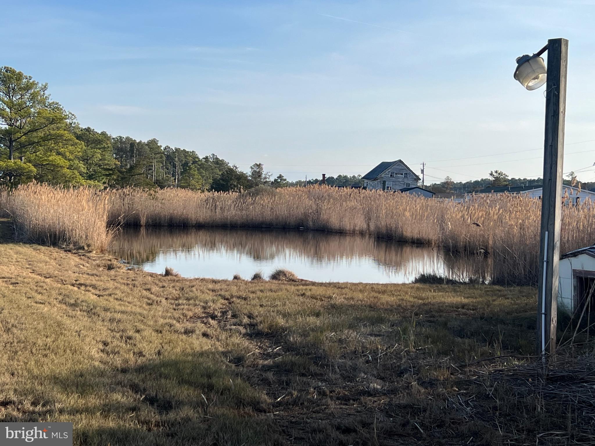 2736 Toddville Road Toddville, MD 21672 - Photo 13 of 44 a view of a lake in middle of forest