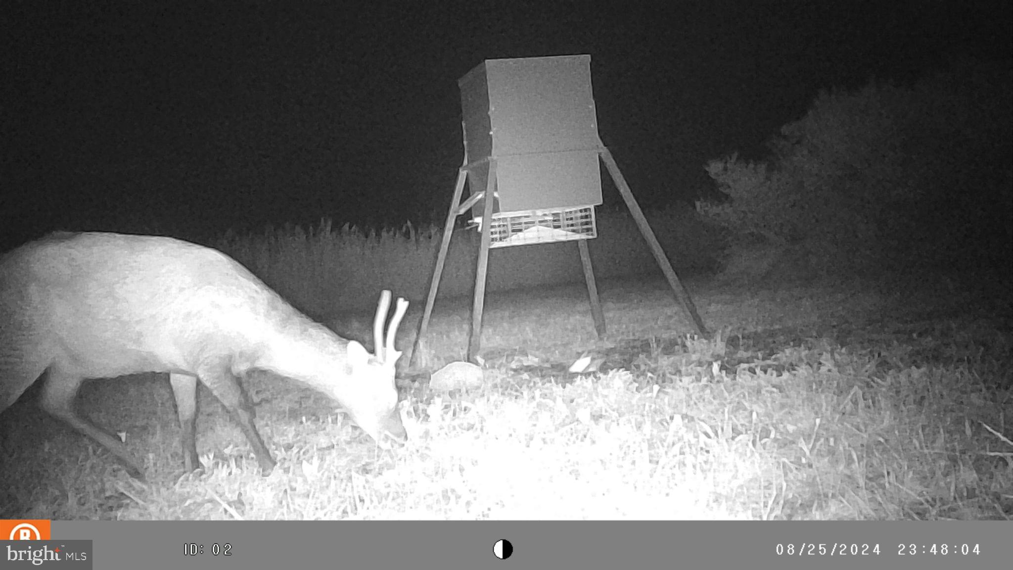 2736 Toddville Road Toddville, MD 21672 - Photo 2 of 44 a view of entryway