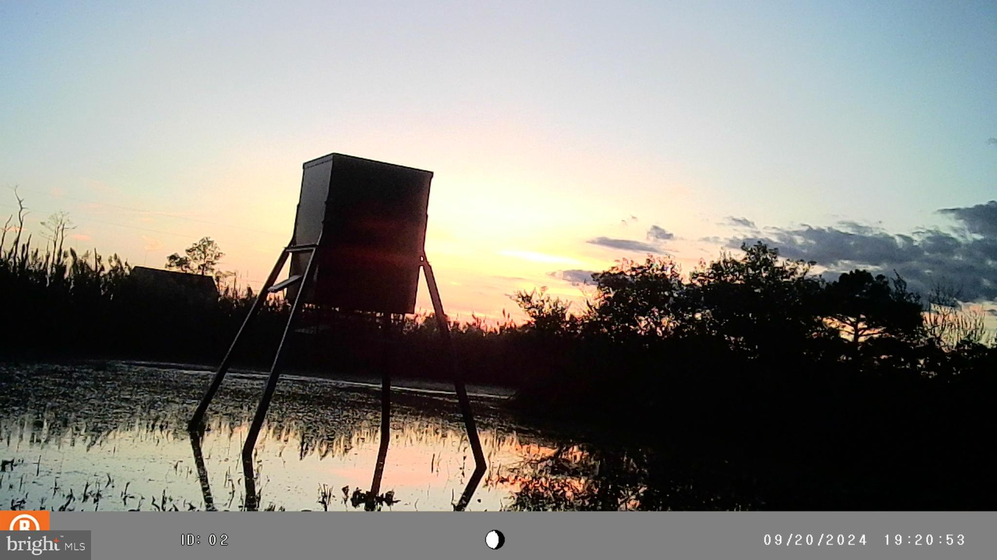 2736 Toddville Road Toddville, MD 21672 - Photo 28 of 44