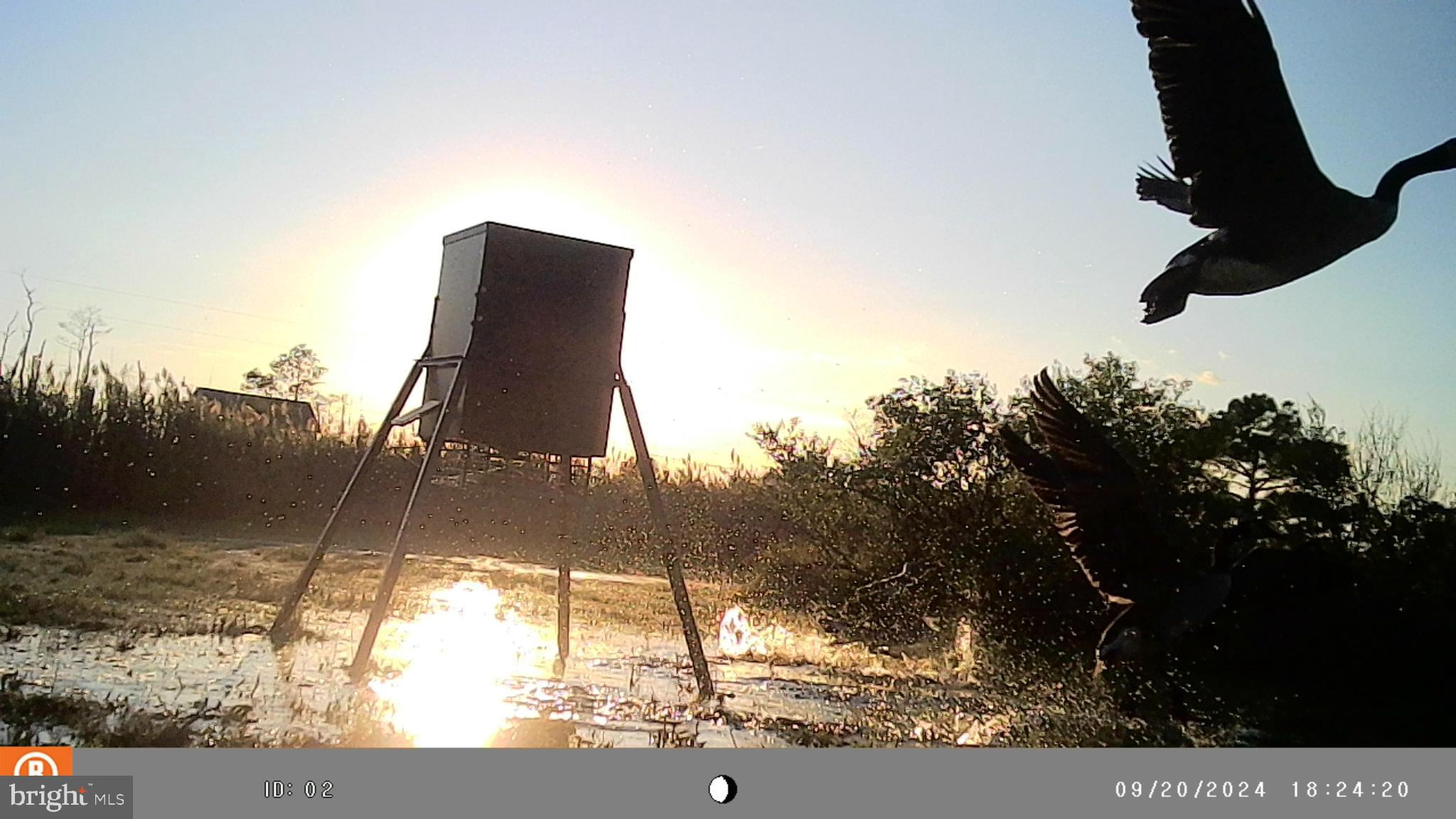 2736 Toddville Road Toddville, MD 21672 - Photo 29 of 44 a view of a back yard