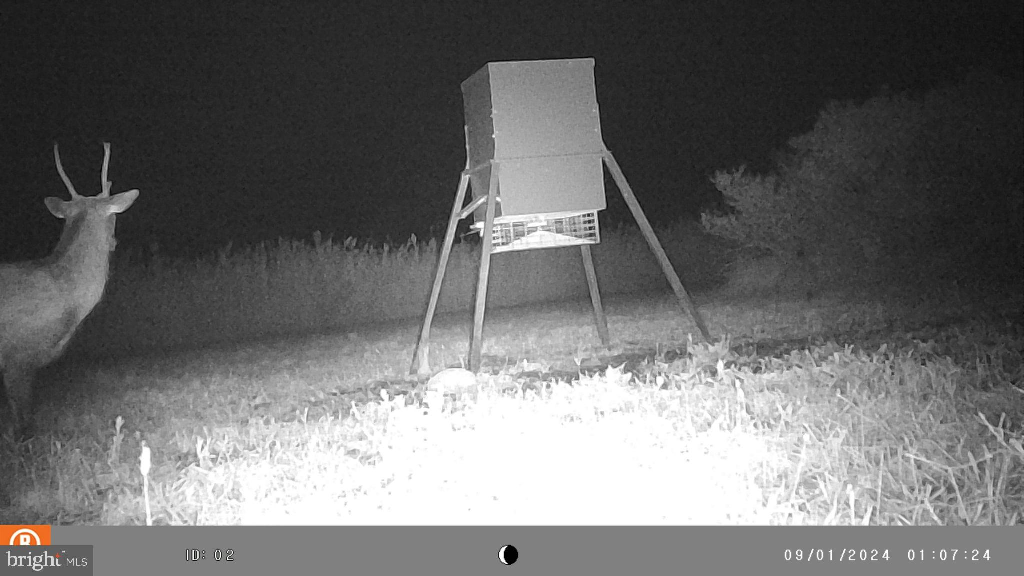 2736 Toddville Road Toddville, MD 21672 - Photo 30 of 44 a view of water heater room