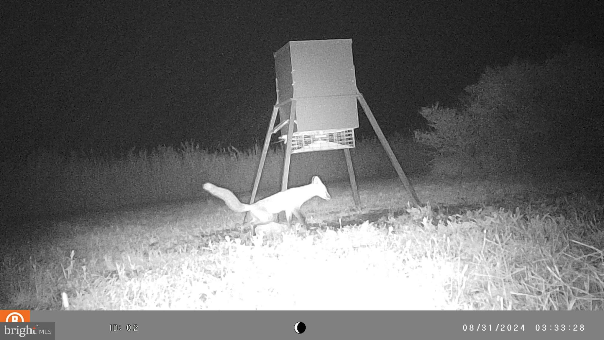 2736 Toddville Road Toddville, MD 21672 - Photo 33 of 44 a view of wooden floor in a living room