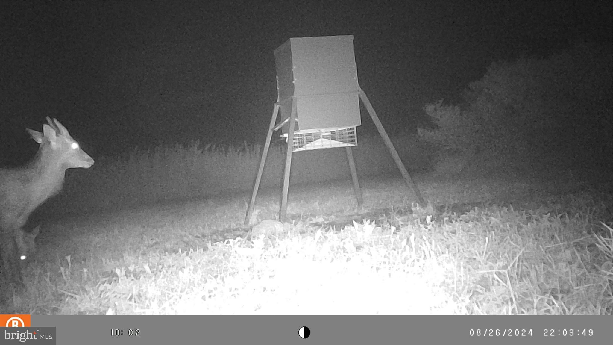 2736 Toddville Road Toddville, MD 21672 - Photo 34 of 44 a view of wooden floor