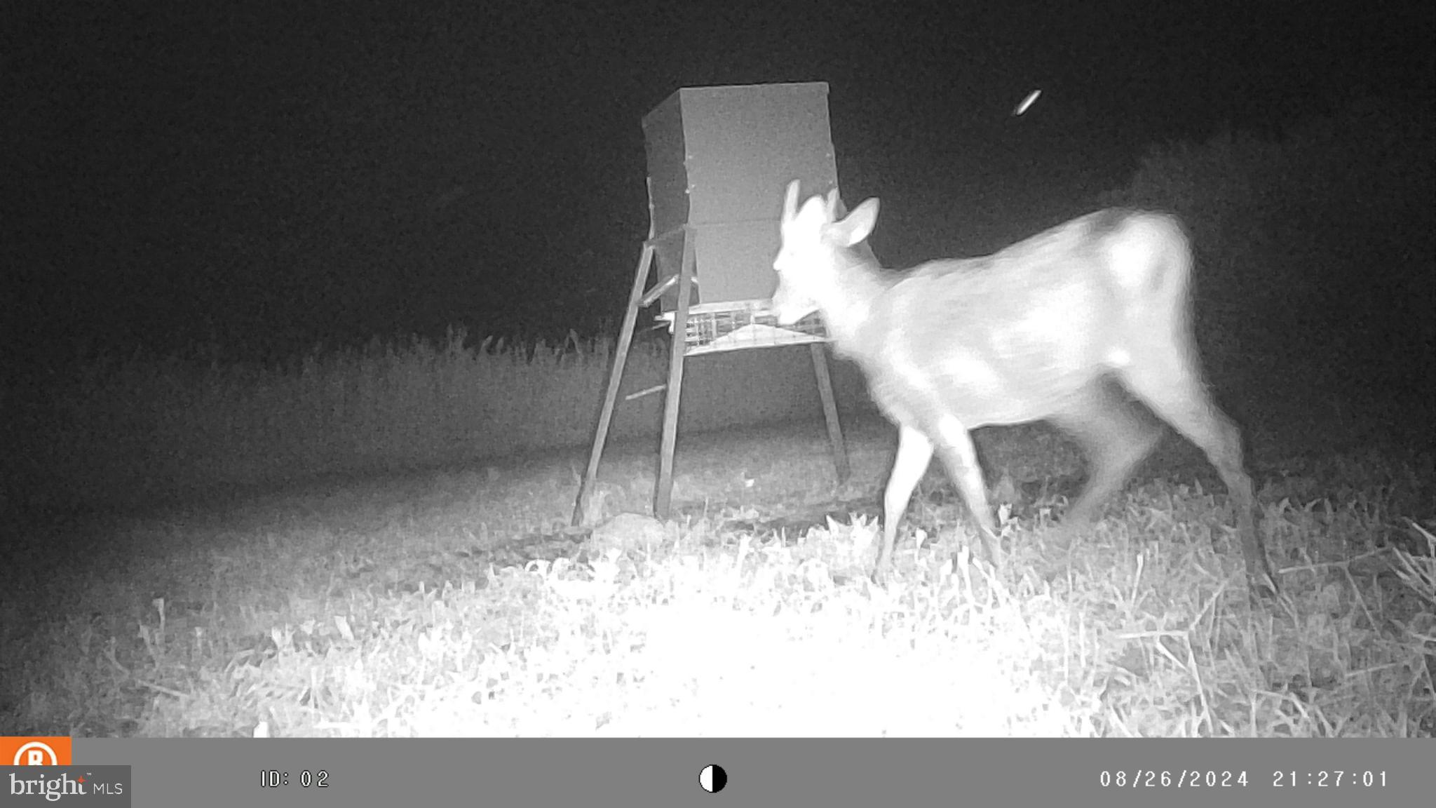 2736 Toddville Road Toddville, MD 21672 - Photo 35 of 44 a picture of a room with a table and chair