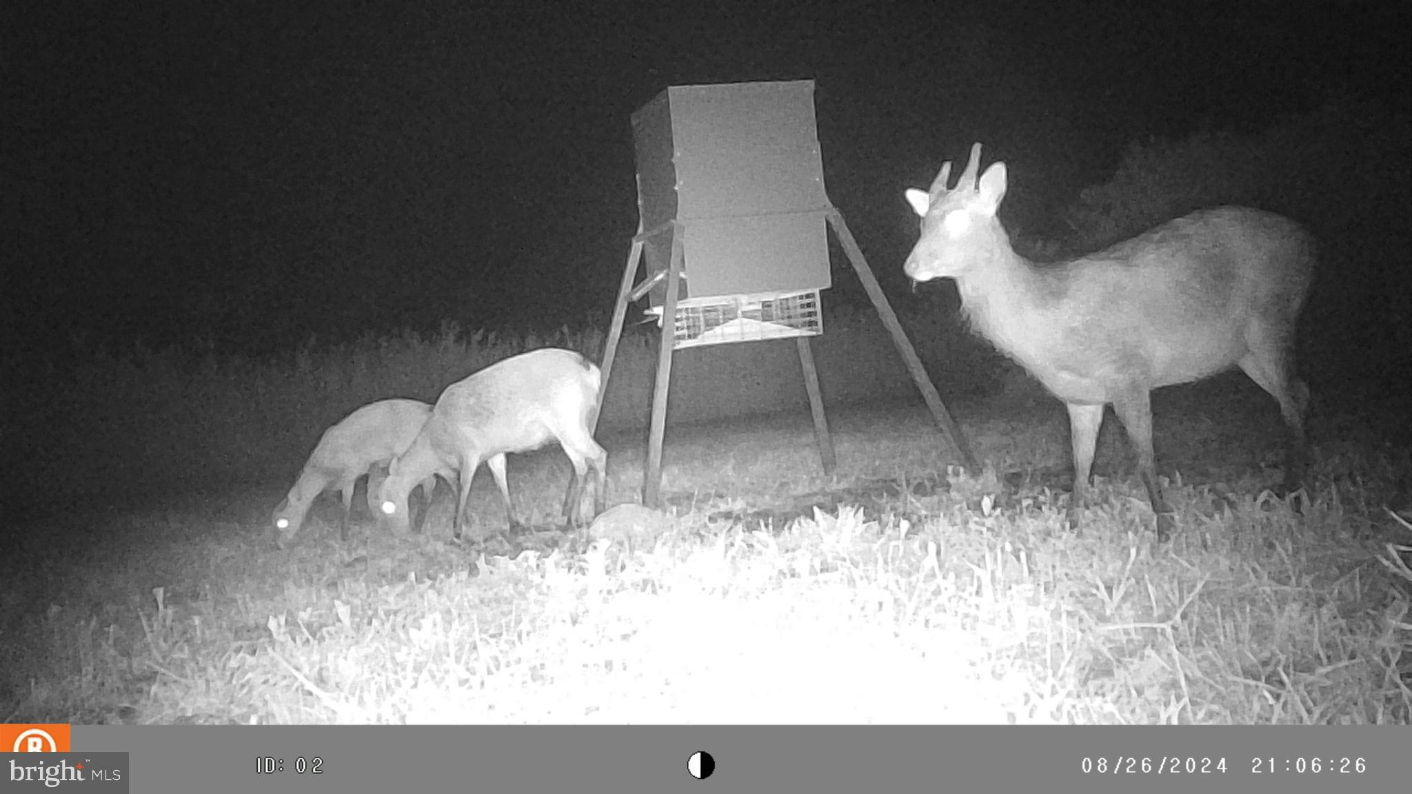 2736 Toddville Road Toddville, MD 21672 - Photo 36 of 44 a view of a room with furniture and wooden floor
