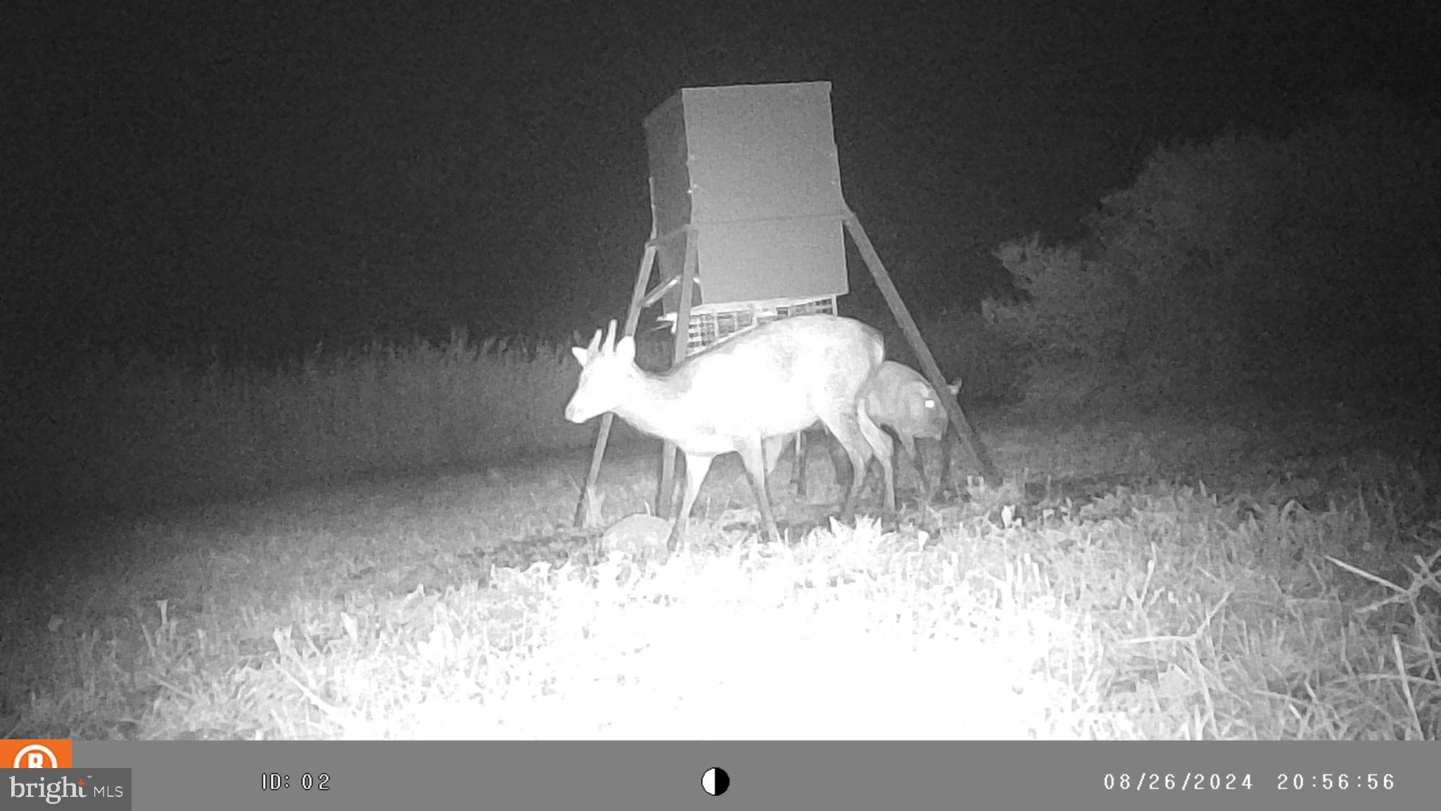 2736 Toddville Road Toddville, MD 21672 - Photo 37 of 44 a view of a room with a wooden floor