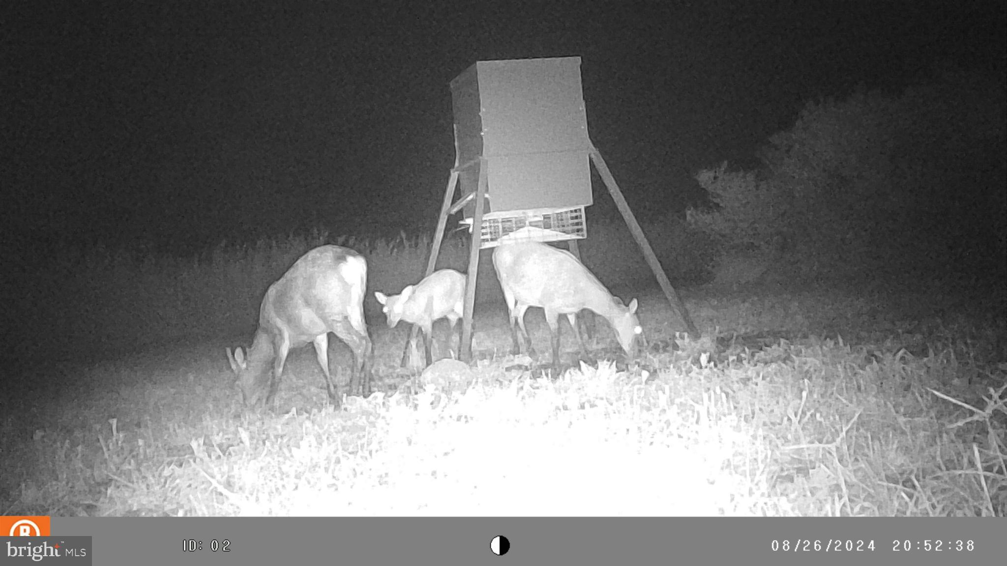 2736 Toddville Road Toddville, MD 21672 - Photo 38 of 44 a view of living room