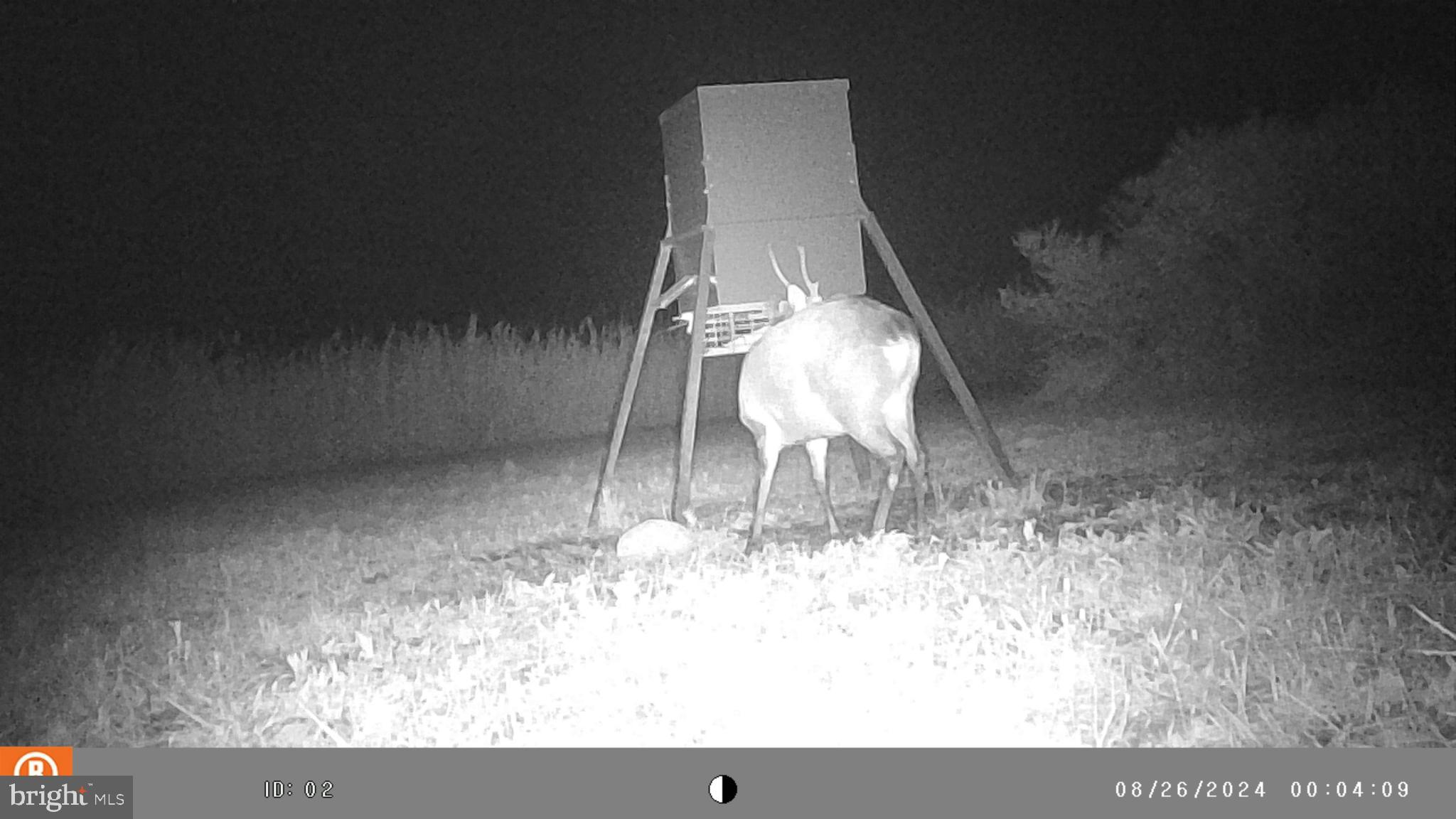 2736 Toddville Road Toddville, MD 21672 - Photo 39 of 44 a view of dining room with wooden floor