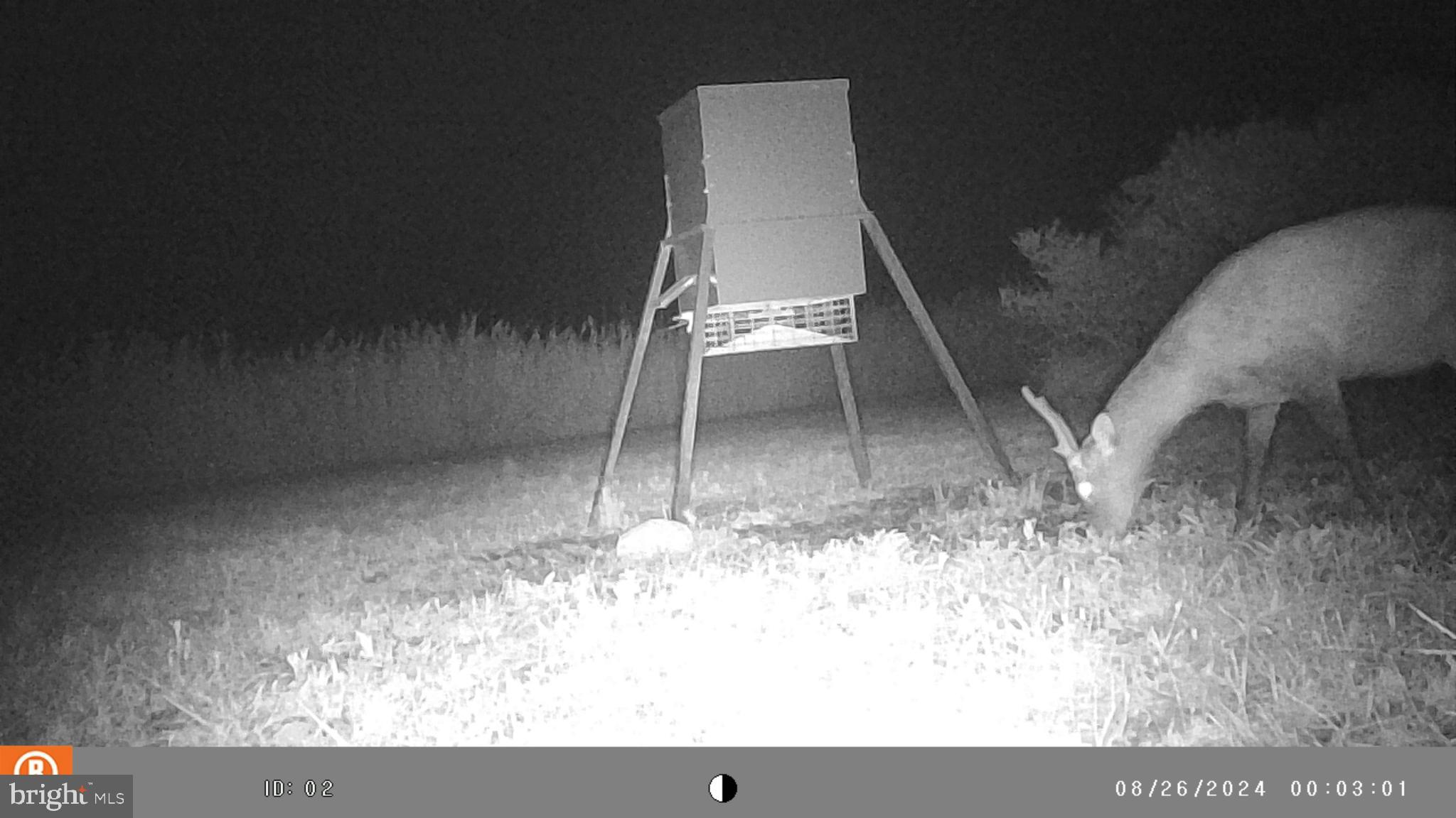 2736 Toddville Road Toddville, MD 21672 - Photo 40 of 44 a view of outdoor space