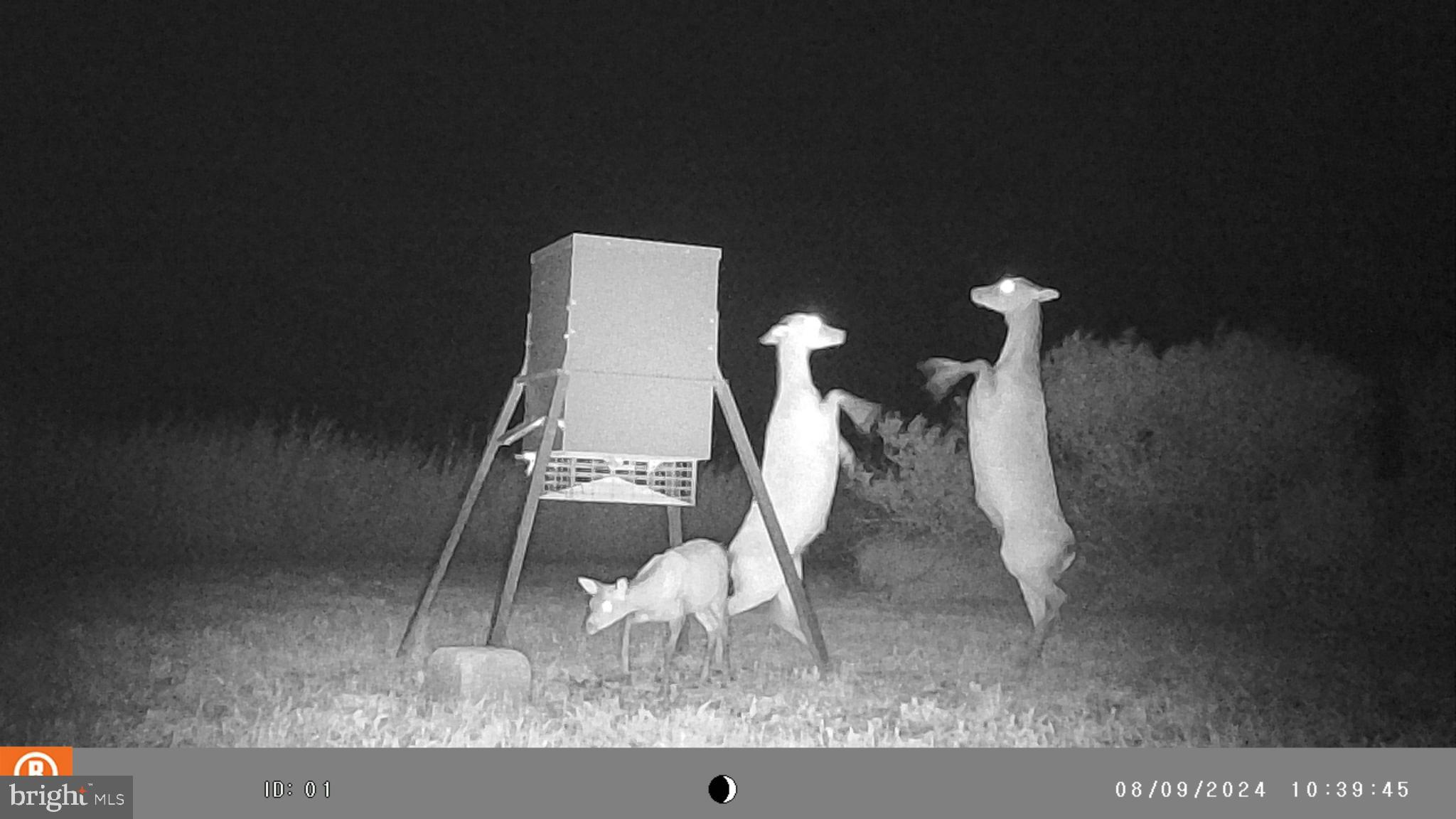 2736 Toddville Road Toddville, MD 21672 - Photo 4 of 44 a floor plan image