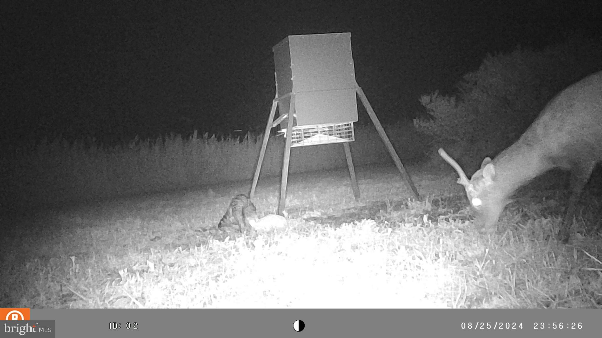 2736 Toddville Road Toddville, MD 21672 - Photo 41 of 44