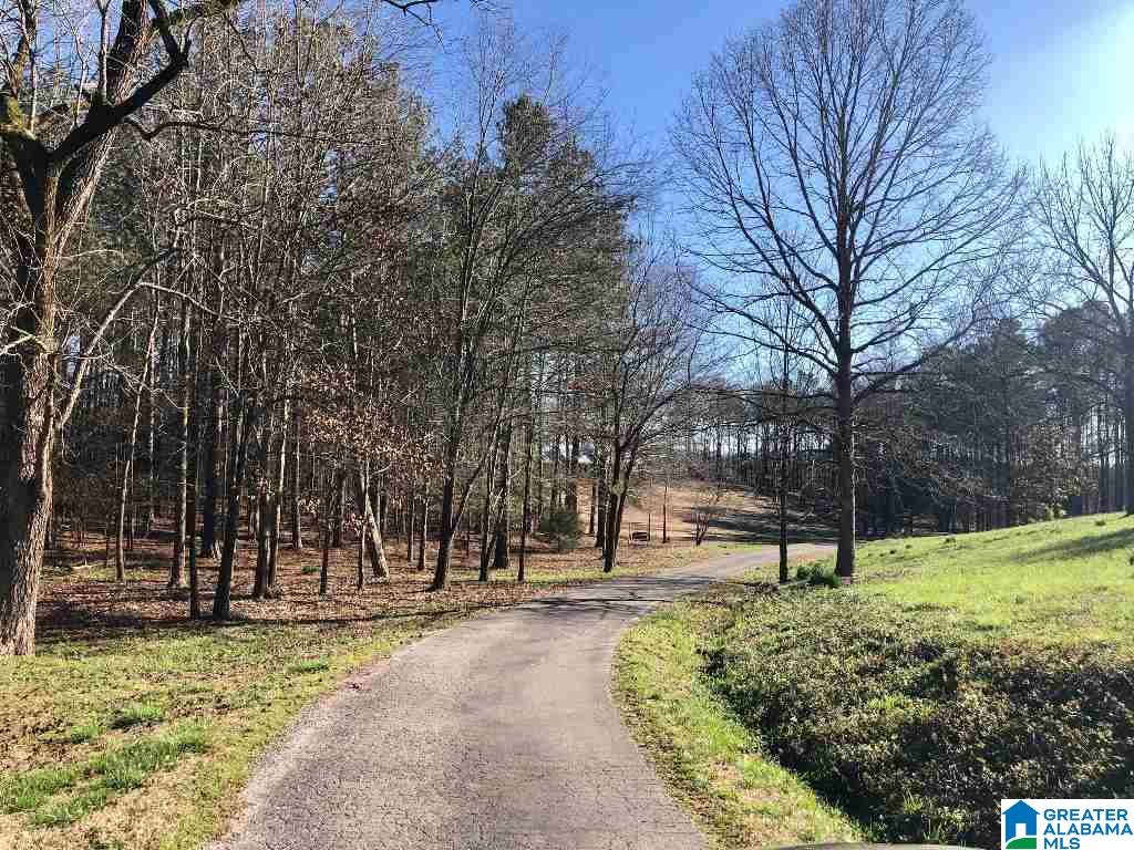 862 County Road 56 Wedowee, AL 36278 - Photo 24 of 25