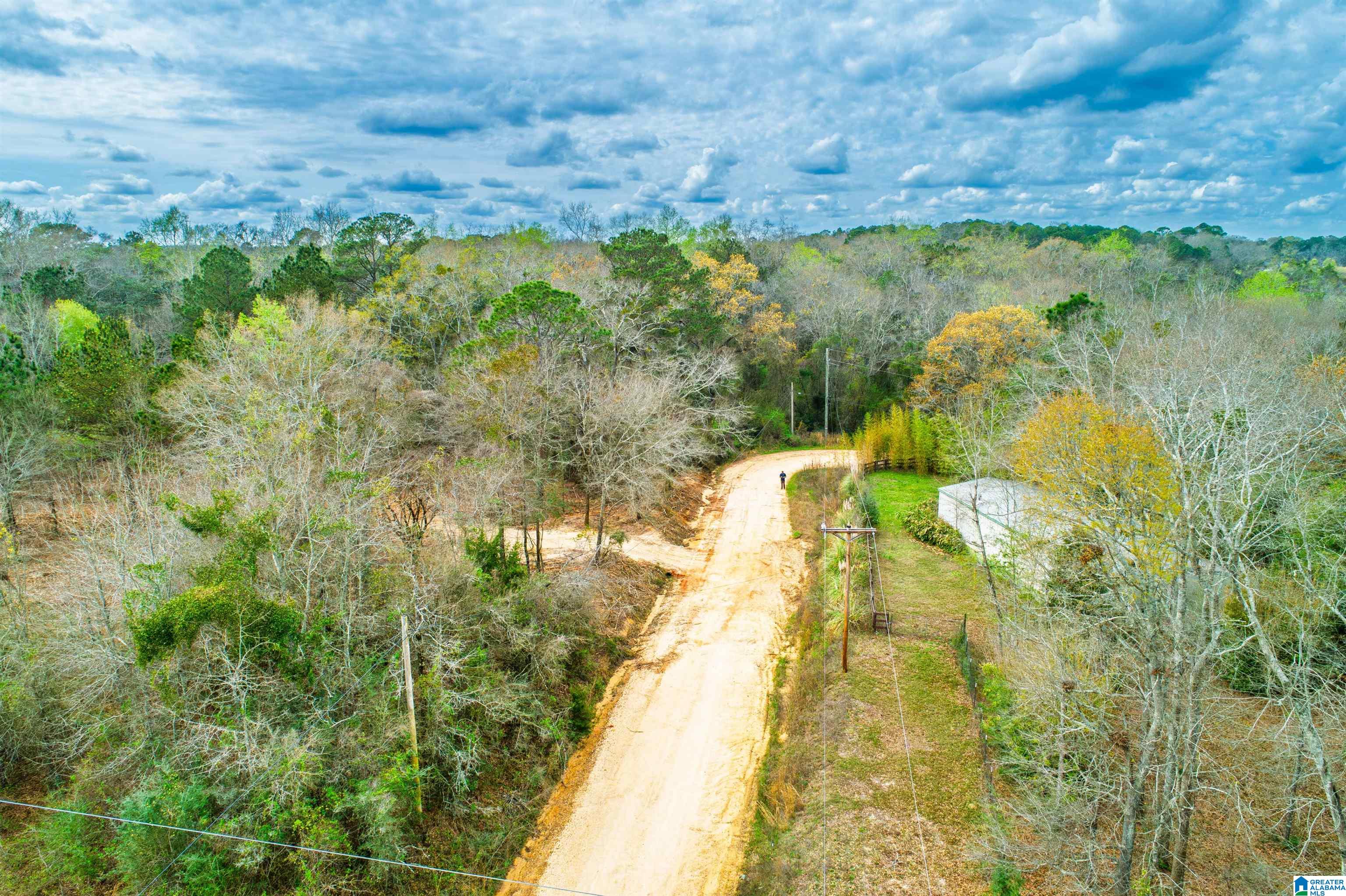 27180 Deer Run Road Opp, AL 36467 - Photo 35 of 60