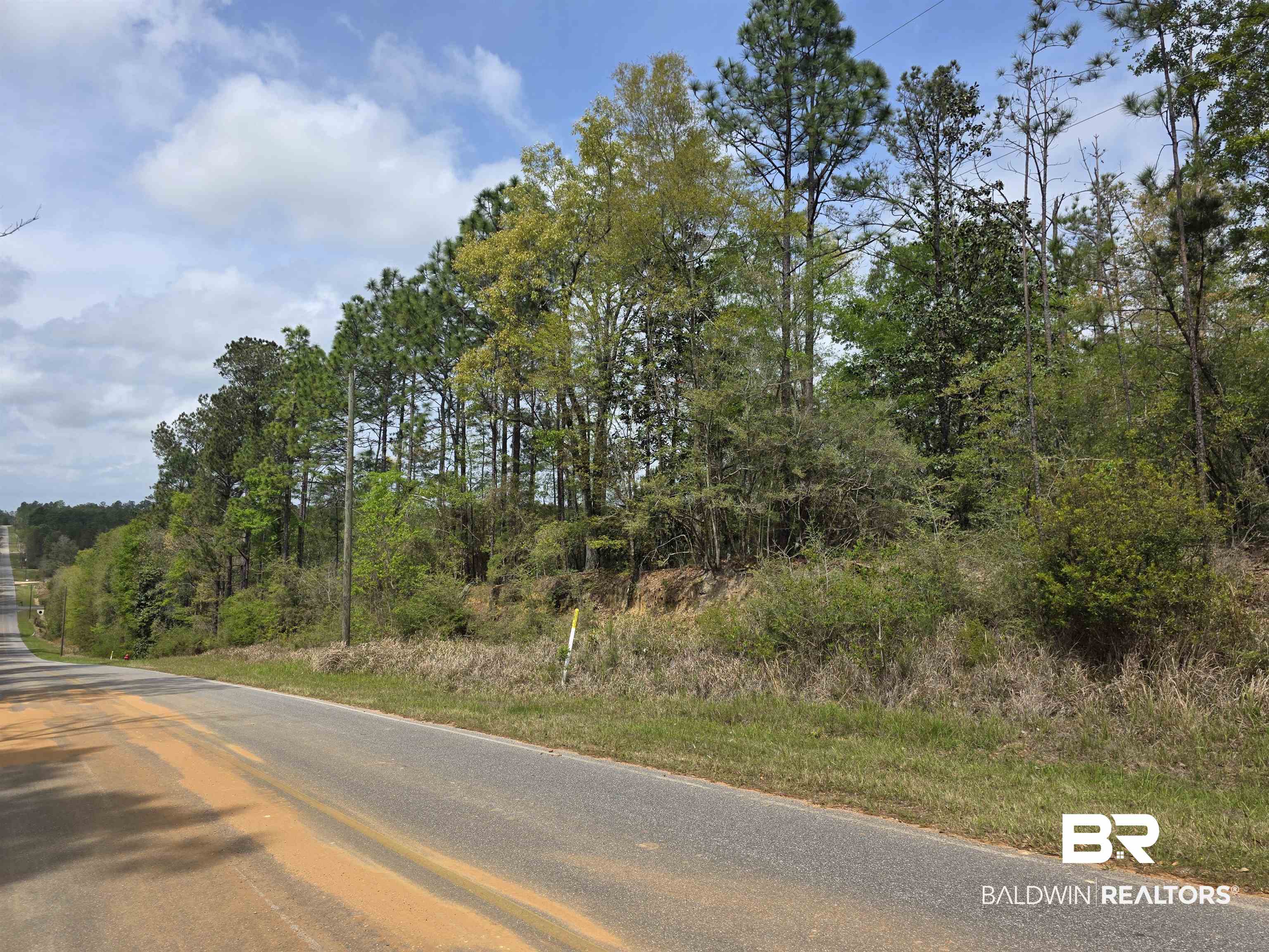 12287 Red Hill Rd Extension Bay Minette, AL 36507 - Photo 5 of 10 View of asphalt street