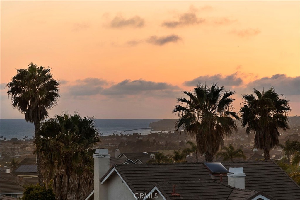 2009 Via Teca San Clemente, CA 92673 - Photo 20 of 52