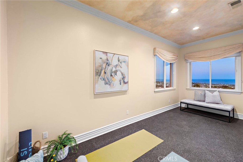 2009 Via Teca San Clemente, CA 92673 - Photo 31 of 52 a living room with furniture and a window