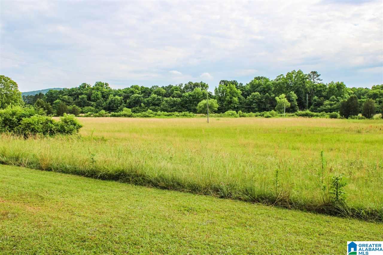 179 New Lincoln Road Talladega, AL 35160 - Photo 48 of 50