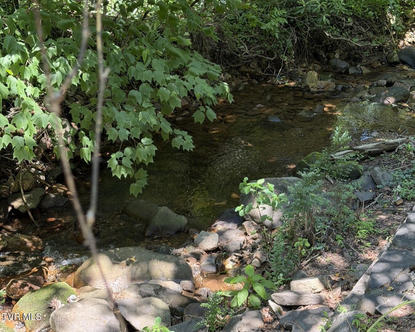 969 Carson Springs Road Newport, TN 37821 - Photo 28 of 35 24.7
