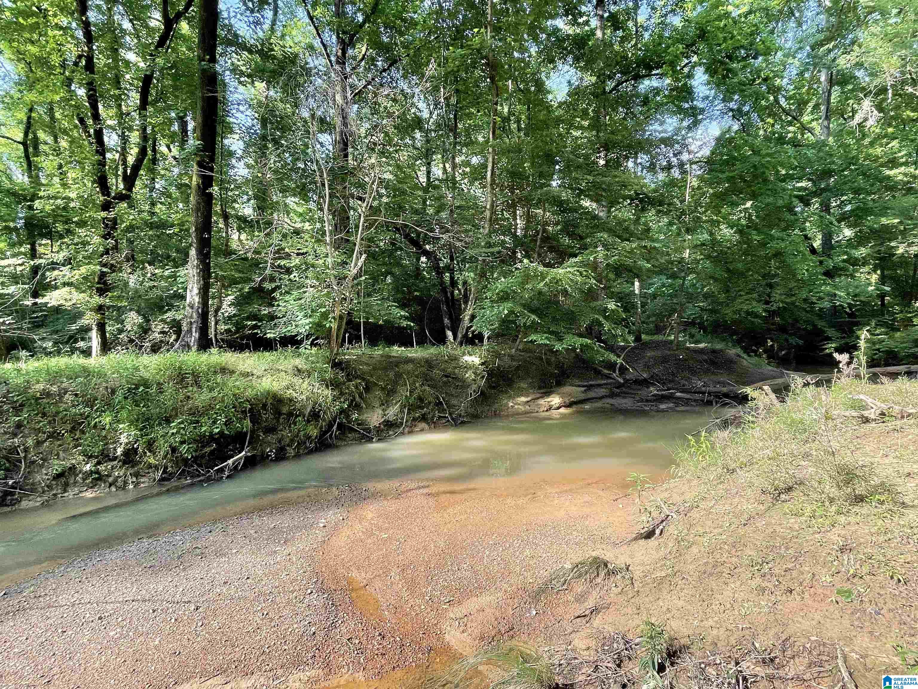 117 Hunset Mill Lane Pelham, AL 35124 - Photo 50 of 59