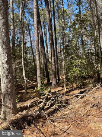 $25,000 | 1st Street, Nanjemoy, MD 20662