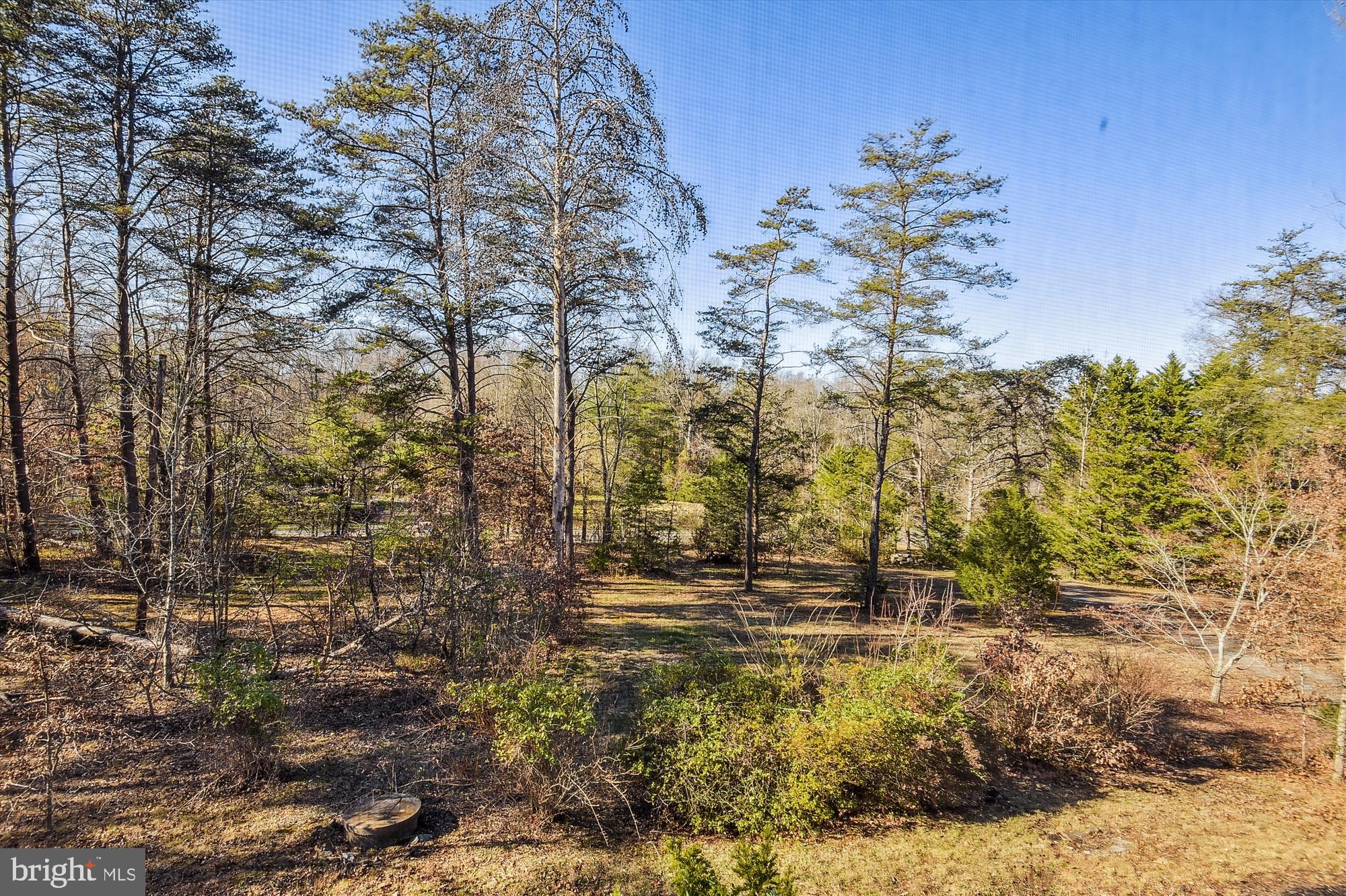 9589 Meetze Road Midland, VA 22728 - Photo 41 of 54 View from the primary bedroom front window