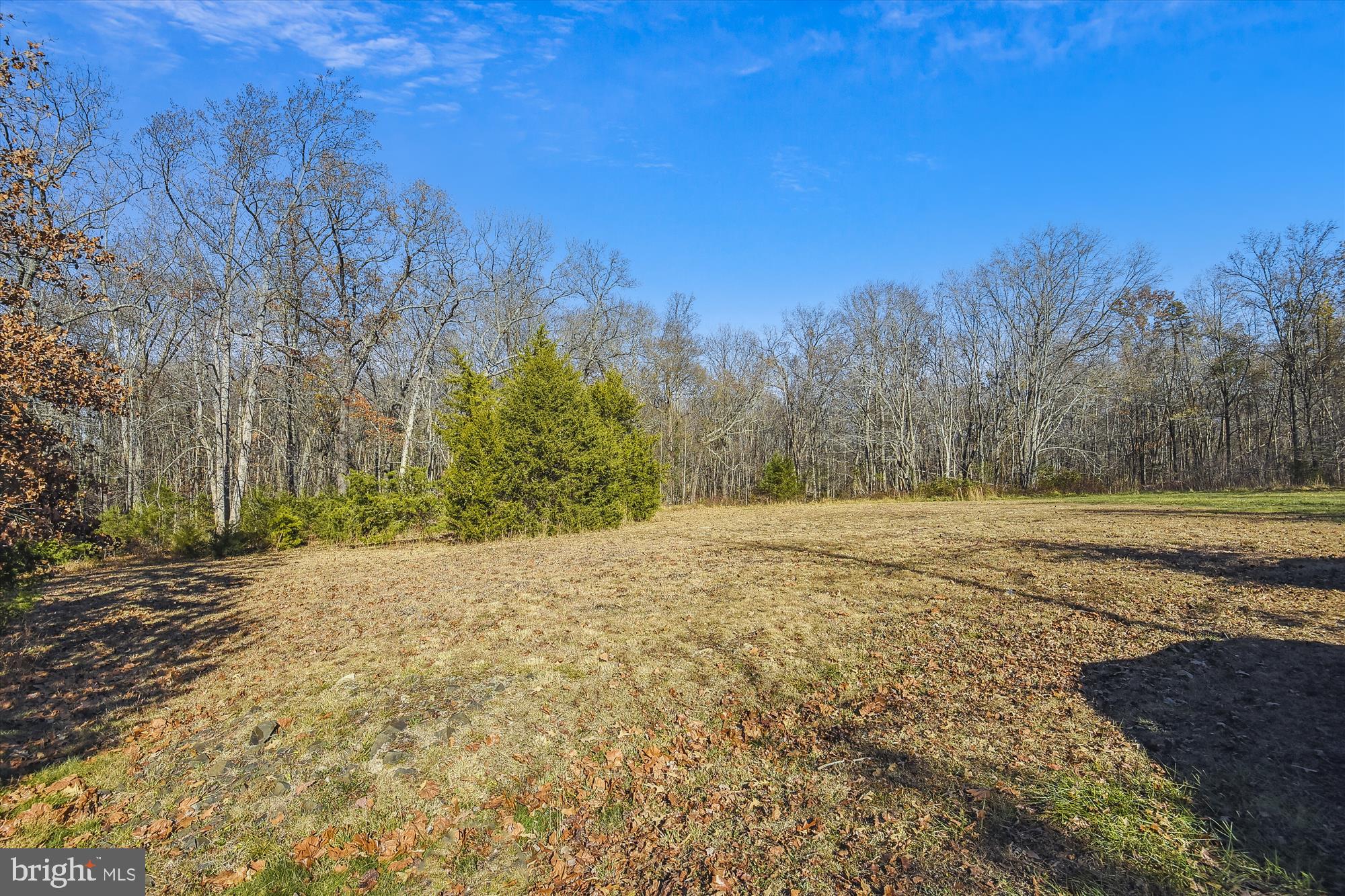 9589 Meetze Road Midland, VA 22728 - Photo 48 of 54 Cleared areas