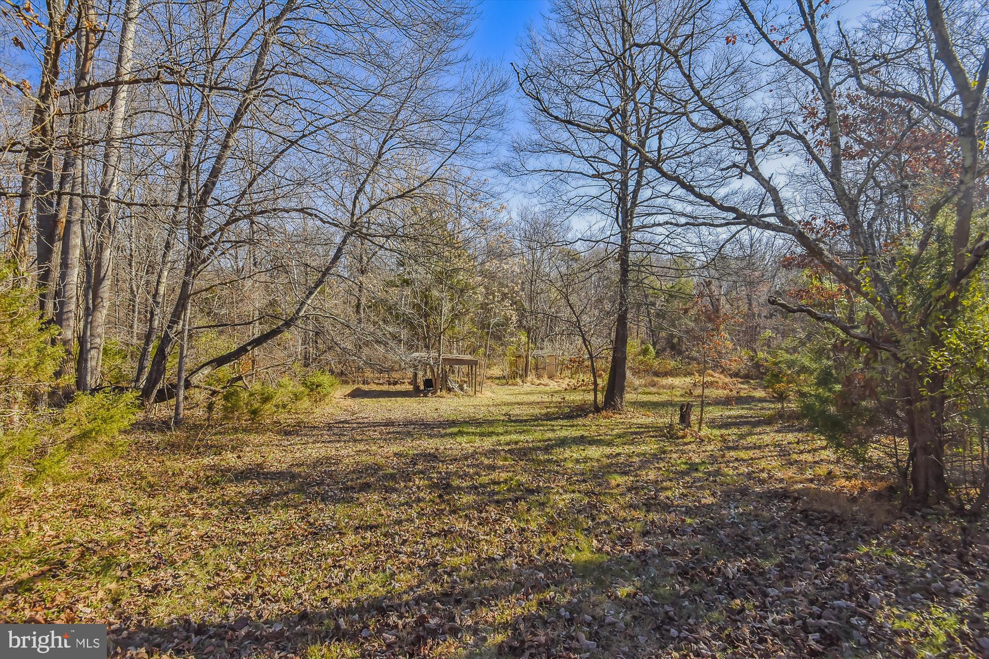 9589 Meetze Road Midland, VA 22728 - Photo 49 of 54 One of several cleared areas