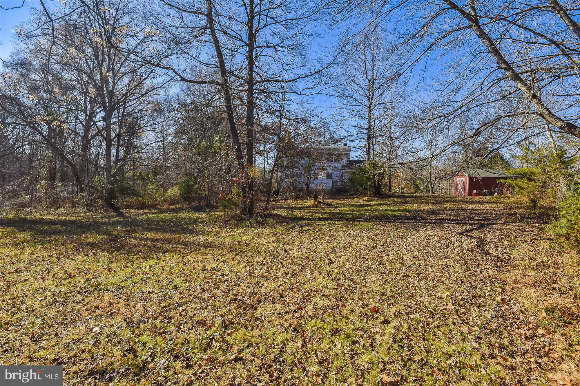 9589 Meetze Road Midland, VA 22728 - Photo 51 of 54 Back yard