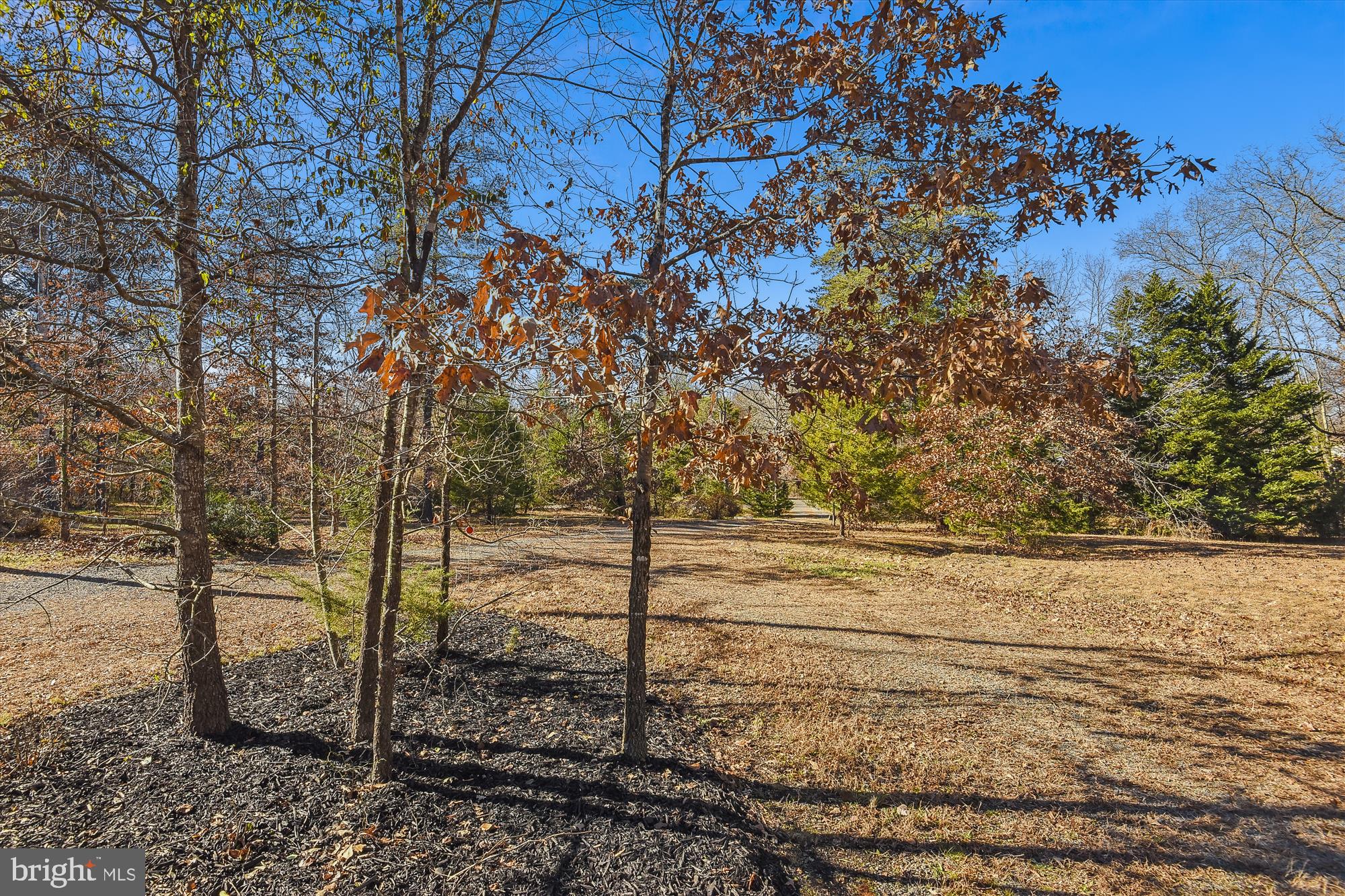 9589 Meetze Road Midland, VA 22728 - Photo 52 of 54 Circular Driveway