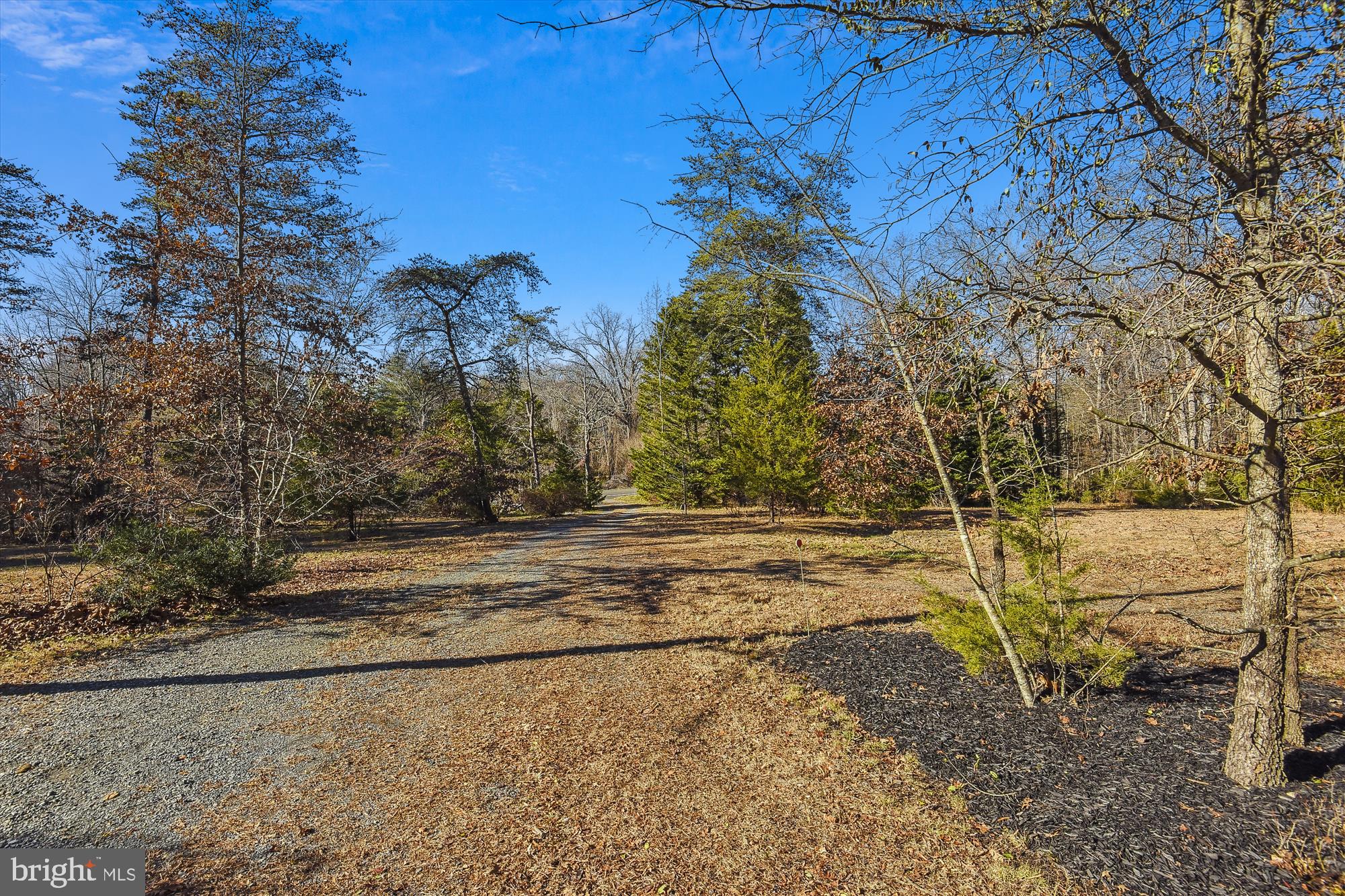 9589 Meetze Road Midland, VA 22728 - Photo 53 of 54 Driveway leading to road