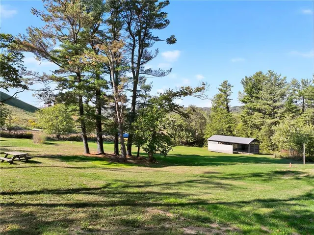 a view of a house with a small yard and a large tree
