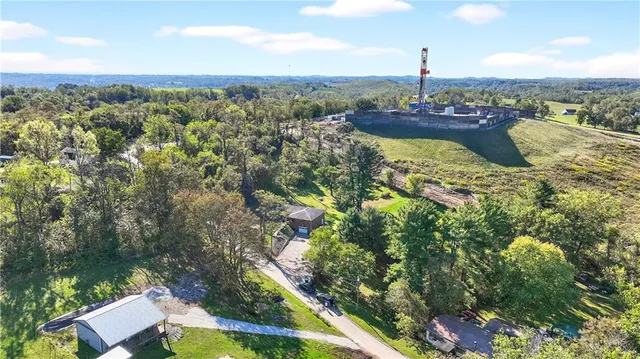 a backyard of a house with table and chairs plants and large tree